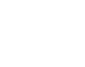 DIASS Industries
